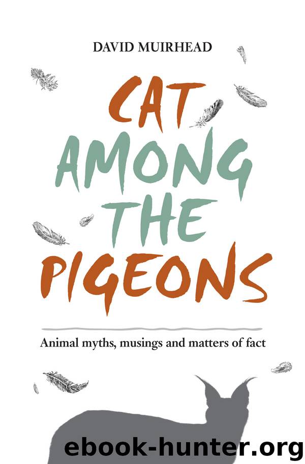 Cat among the pigeons by David Muirhead free ebooks download